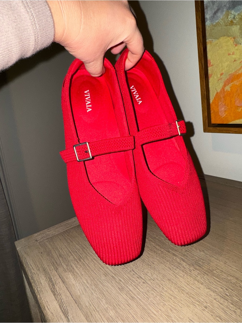 Vivaia Red Mary Jane Knit Loafers with Buckle Strap